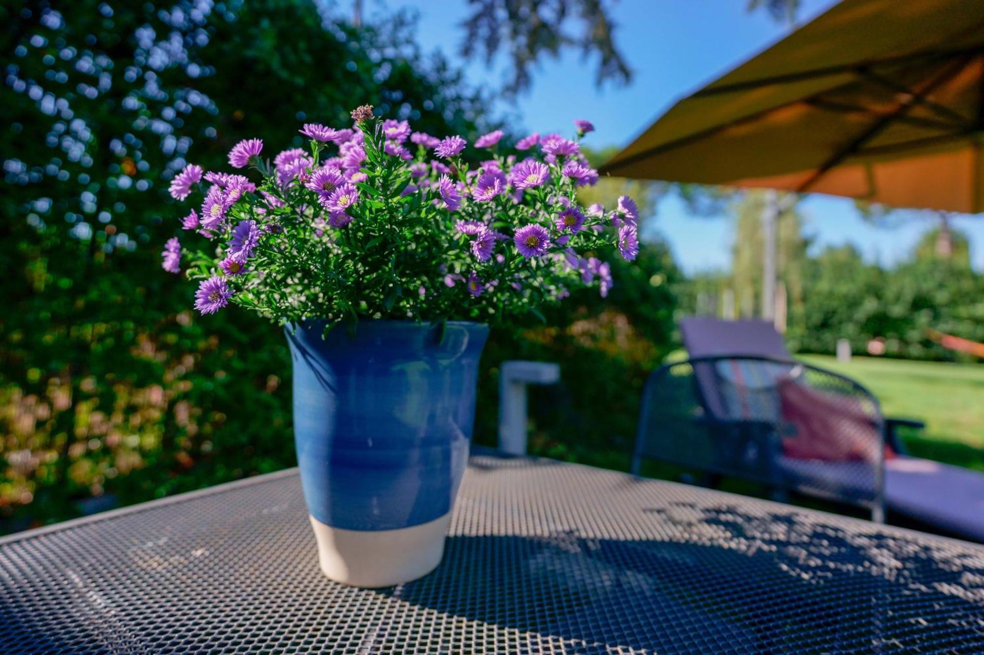 Pixel B&B Ravenna Luaran gambar